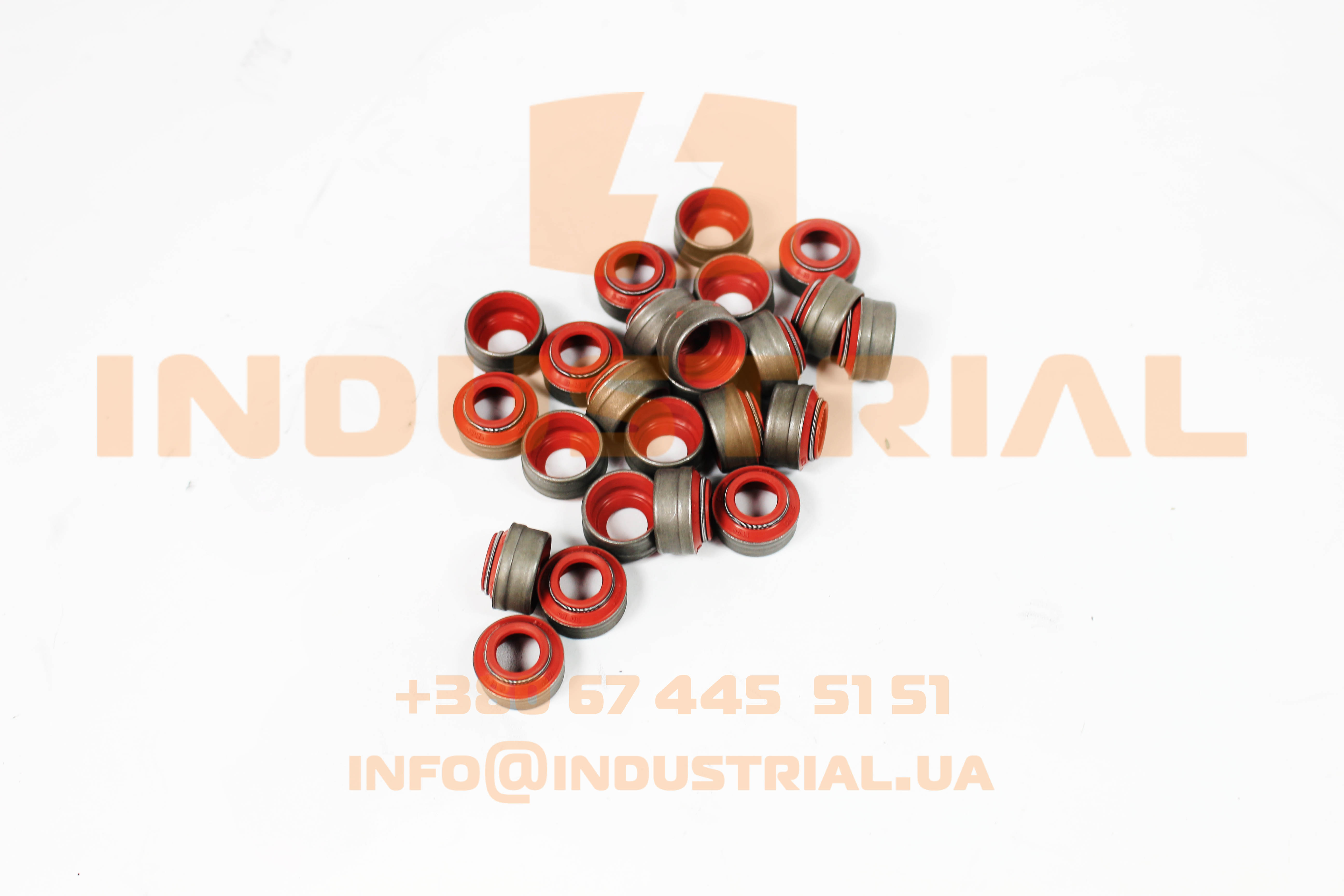 LEM 0213763 LEMA